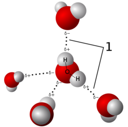 Hydrogen bond 