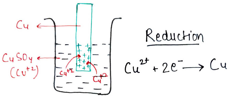 Reduction Potential